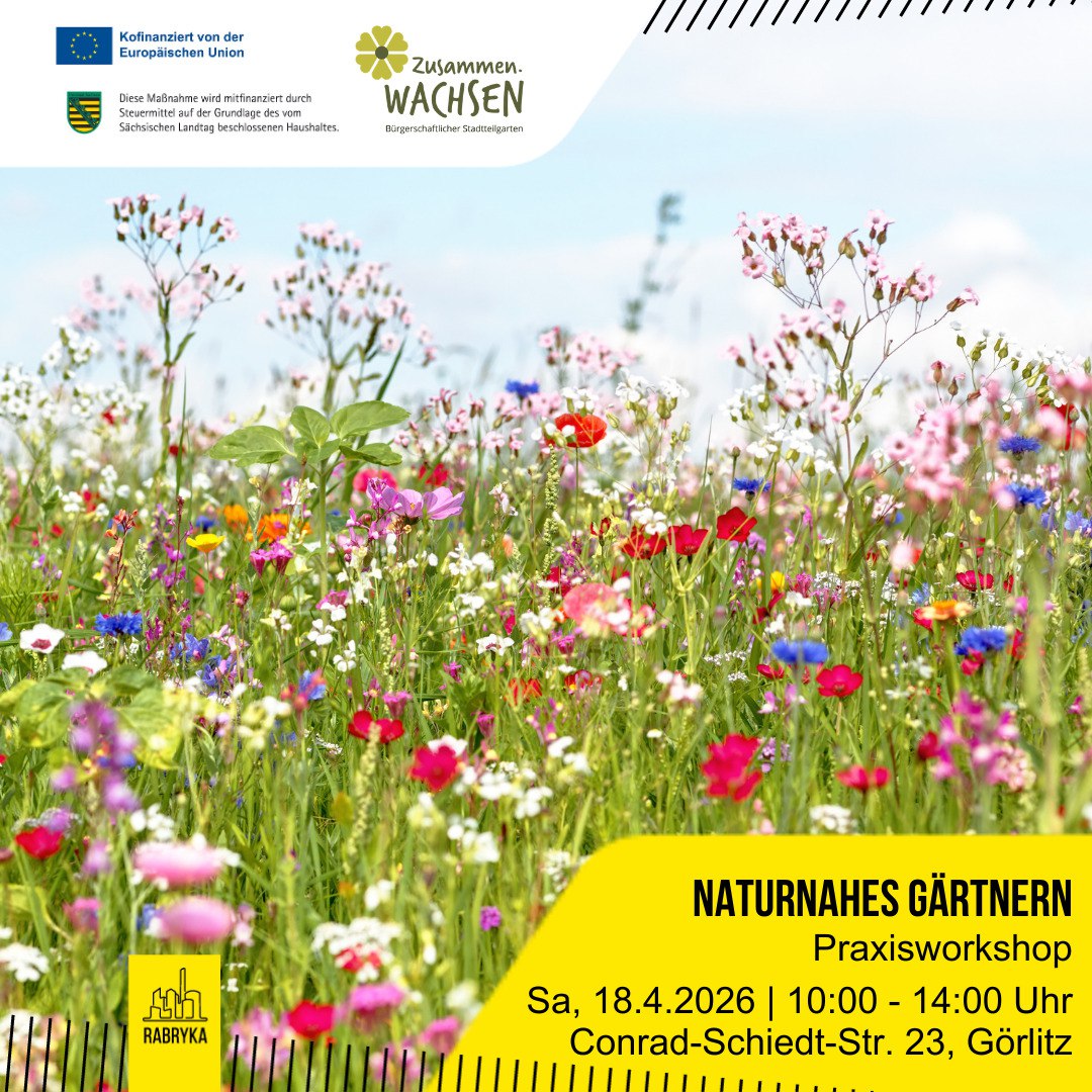 Praxisworkshop Naturnahes Gärtnern